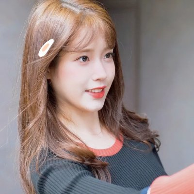 天鹅公主：秘密城堡封面